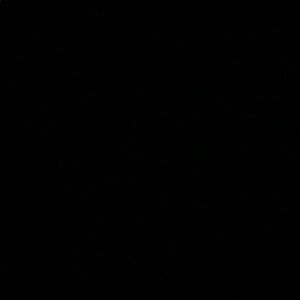 Meet your Posher, Abigail